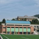 고한초등학교 Daum카페