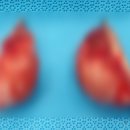 새은평동물의료센터 이미지