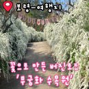 수목원 입구 | 보령 4월 5월 여행지 자연이 만든 버진 로드 무궁화수목원 배꽃 조팝나무 유모차 휠체어 입장료 주차장