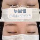 한국칼라누보공업사 | 노원속눈썹연장 : 누보씰 애쉬브라운 0.15 속눈썹연장 후기