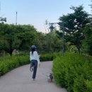 (주)퍼니빌 | 🍀5월 결산🍀 | 이라 쓰고 빠수니의 한 달이라고 읽음