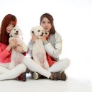 여니스튜디오 이미지