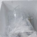 생생울산참가자미