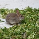 비슬 승마체험장 이미지