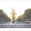 도봉산입구 Daum카페