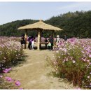 코뚜레목장 이미지