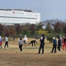 양포파크골프장 이미지