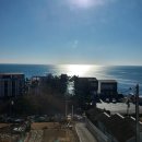 수피아라 A 티스토리