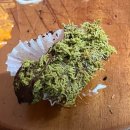 카페 요아정 신내점