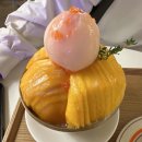 한스 강아지방 이미지