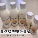 해맑은목장 | [돌아기 첫우유] 유산양 해맑은목장 산양유와 요거트 후기