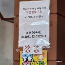 전이랑국시랑 | 원동맛집 원동촌국시 후기 | 순매원 국수+ 미나리전 조합, 매화축제 필수코스