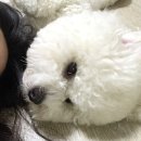 새가야약국 이미지