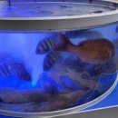 달성횟집식당 이미지