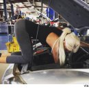 프로카센타 이미지