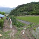 칠곡면사무소 이미지