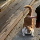 미소횟집 - 북구 구포시장7길 7 | 미소횟집