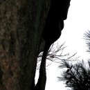 새운상사 | 1.경주 남산(慶州 南山)삼릉입구-상선암-바둑바위-상사바위-금오봉