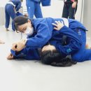 대전중앙태권도체육관 이미지