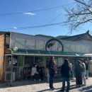 이달엔영월 스테이 이미지