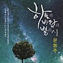 바람과 별 이미지