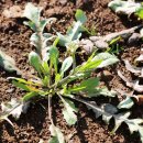 하영올레 2코스 이미지