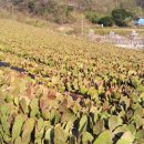 유태농장 이미지