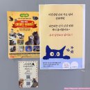 쥬디뽑기# | [천안고양이카페] 입장료 하나로 키즈카페까지! '지상냥원' 아이와 교감 후기
