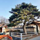 박순사당 이미지