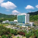 더트러스트디자인센터 네이버블로그