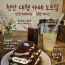 에이스유럽주 | 천안대형카페 브런치와 케이크 맛집 봉명동 노트밀 솔직 후기
