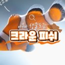 범 아쿠아 이미지