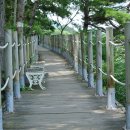 호성계곡 이미지