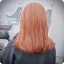도도헤어 이미지