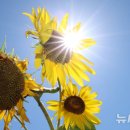 하늘아래 이미지