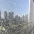 물향기마을3단지 해링턴플레이스 GTX 운정아파트 | 파주 아파트 유리창청소 (물향기마을 3단지)