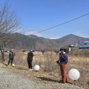 사강로 Daum카페