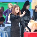 에버노블 Daum카페