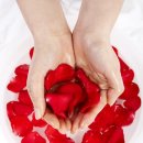 니트성형외과의원 이미지