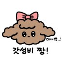 제이몽애견펜션