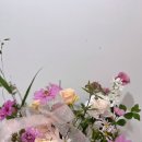 압구정꽃집 반블라썸에서 만난 사랑스러운 꽃바구니의 매력