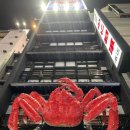 카니코리아 | 삿포로여행 3. 털게 전문점 카니쇼군 삿포로 본점(털게코스 후기)