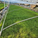 억새풀농장 이미지