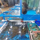 환상의바다리조트B동 이미지