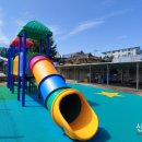 강릉초병설유치원 이미지