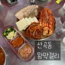 본할머니보쌈 | 청천동 술집 추천 왕막걸리 김치보쌈과 계란말이 내돈내산 후기