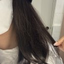 [30대 유방암] 힐링햇 모자가발, 반가발, 내돈내산 세 번째 구매 후기