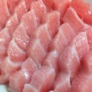 참치토로