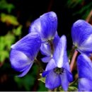 청담약손한의원 이미지