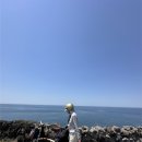여자혼자 제주 환상종주자전거길(자린이)-01 총비용/숙박/경로/코스안내/식당